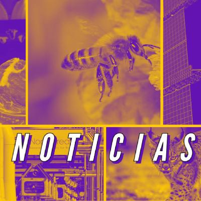 UENC31. Noticias: comer jamón deforesta Amazonas, insectos en peligro, líos con el gas, arde Zamora