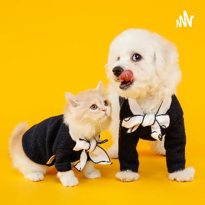 VideoPodcast ¿Por qué es tan importante el olfato en los perros? Dra. Jose Veterinaria