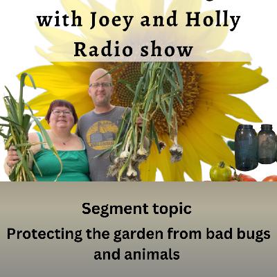 Episode 1543: Seg 1 of S10E9 Protecting the garden from bad bugs & animals - The Gardening with Joey and Holly Radio Show