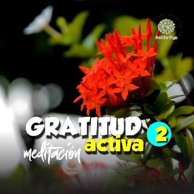 ✨ Gratitud Activa | Sraddha Meditación con Aurora. 02