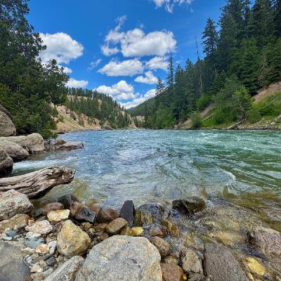 This Week in Yellowstone: July 31st to August 6th, 2025