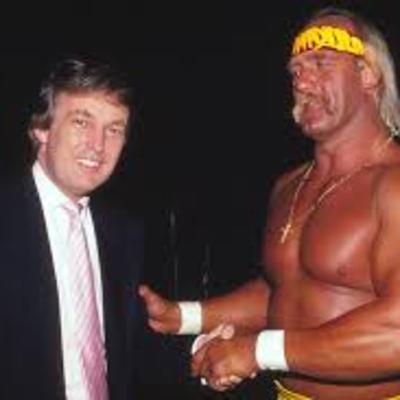 The Problem with Hulk Hogan