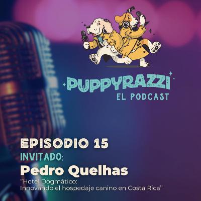 Hotel Dogmático: Innovando el Hospedaje Canino en Costa Rica
