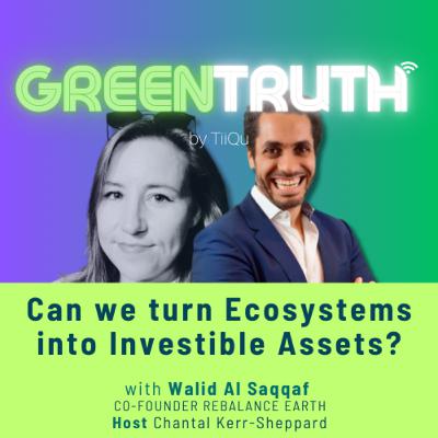 Can we turn Ecosystems into Investible Assets?