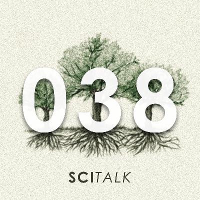 #38 — A Linguagem Secreta das Árvores