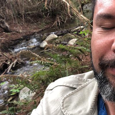 Fluir #Meditación #EnElRío #Río