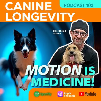 Motion Is Medicine Motion Is Medicine