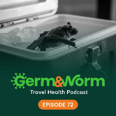 72: Bat in a Cooler: What to Do?