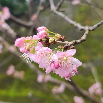 EP.30 烏克蘭音樂 Ukrainian music EP.30 烏克蘭音樂 Ukrainian music