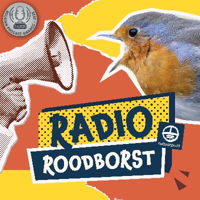 15 september - de ravissante raaf