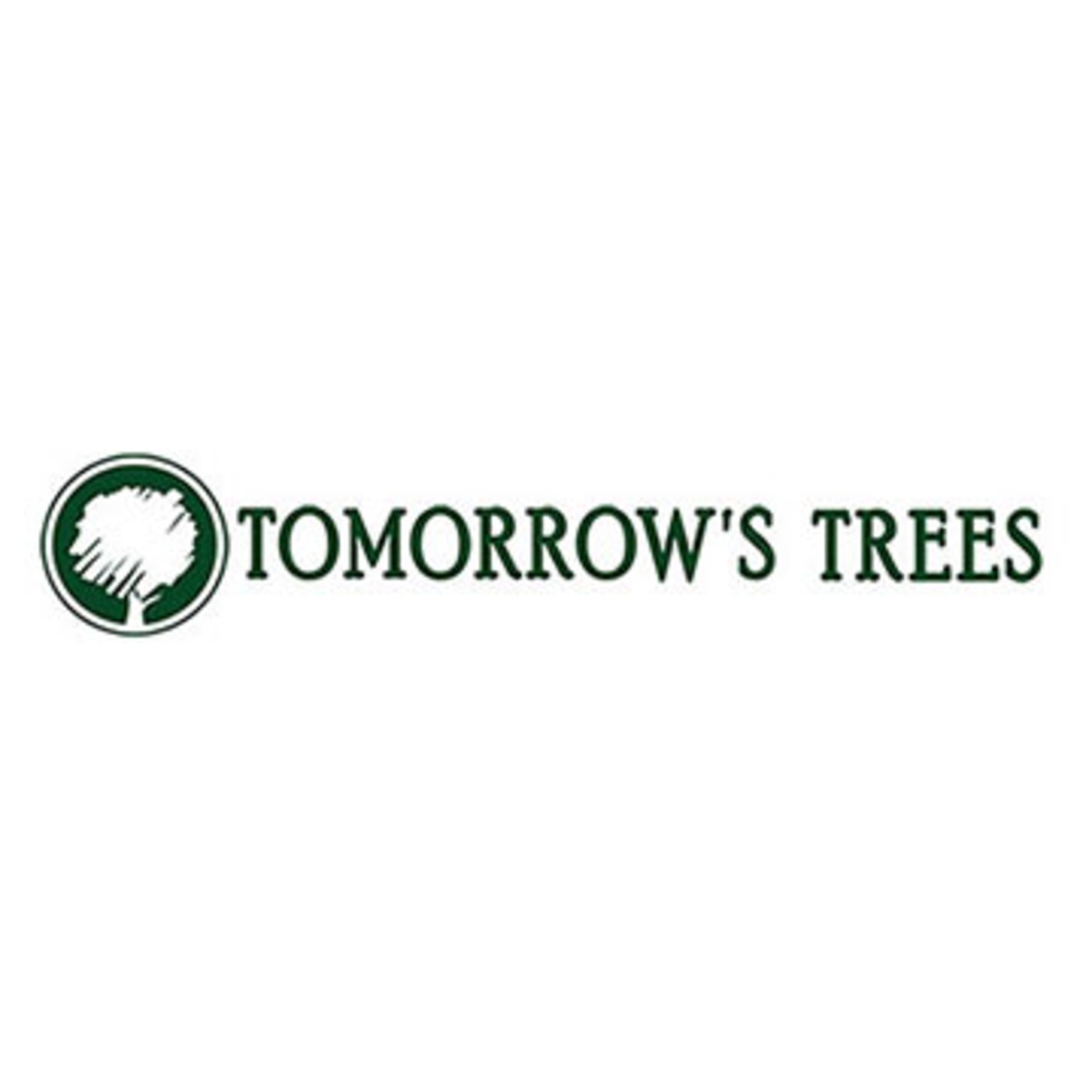 Best Tree Service Contractors Oakdale CT Best Tree Service Contractors Oakdale CT