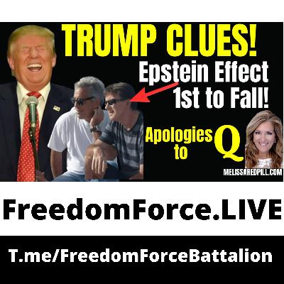 Epstein Fallout 2.8.26