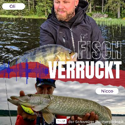 #37 Team Westin Insider: Was Dani Odermatt wirklich über Put & Take denkt