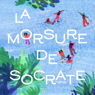 La Morsure de Socrate - épisode 1 : grandir
