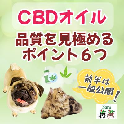 #1003. CBDオイル：どれがイイ？見極め方（商品 J について質問に回答）