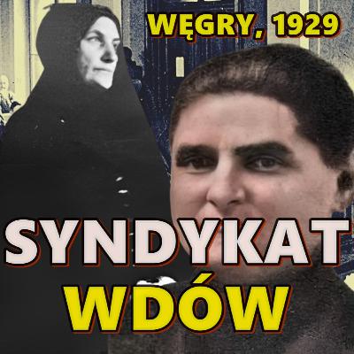 SYNDYKAT WDÓW. JAK LEP NA MUCHY ODMIENIŁ HISTORIĘ PEWNEJ WSI