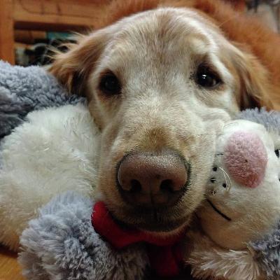 Beth Enneking previews Pet Expo La Crosse on Sunday at the OmniCenter