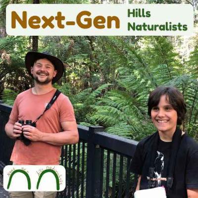 Feature: Superb Lyrebirds with Alex