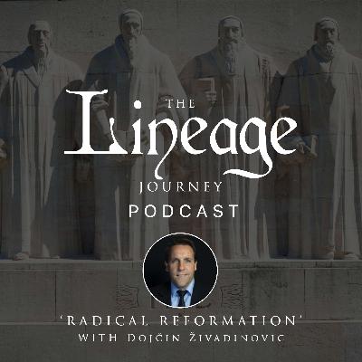 Radical Reformation | Dojčin Živadinovic