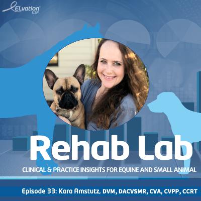 Episode 33 Dr. Kara Amstutz DVM, DACVSMR, CVA, CVPP, CCRT, GP