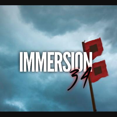 Episode 204: The IMMERSION Sessions Episode 34 Psy Trance Mix 2022