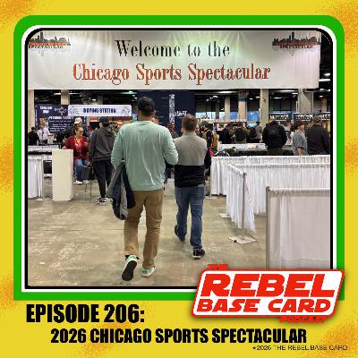 #206: The Chicago Sports Spectator #206: The Chicago Sports Spectator