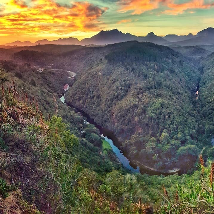 Travel Tuesday with Travelbug Rose - The best stop & go view points in the Garden Route episode artwork