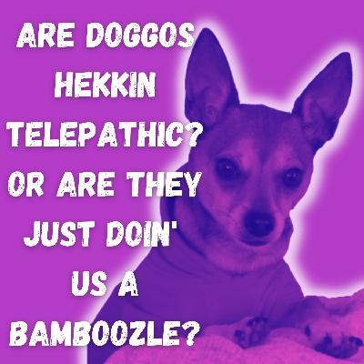 Celebrating Sacred Animals: Telepathic Dogs