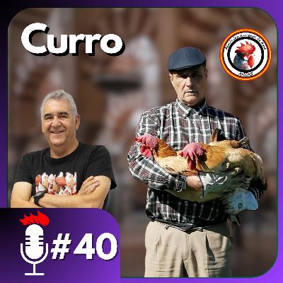 🎙️ La RAZA ANDALUZA SUREÑA, una GALLINA con ARTE | Podcast #40 con Francisco José 'Curro' Román