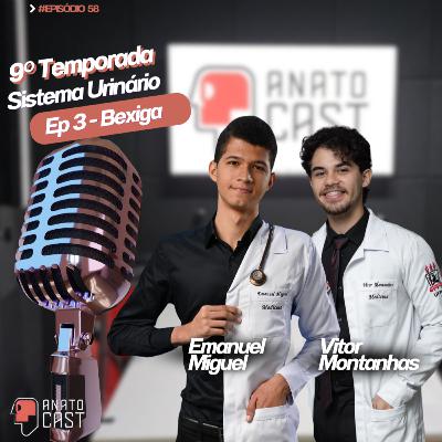 AnatoCast #58 - Bexiga Urinária AnatoCast #58 - Bexiga Urinária