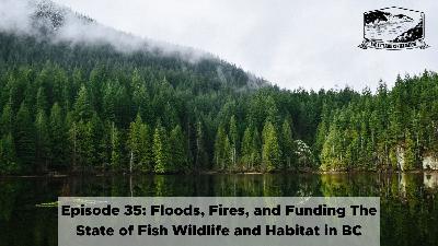 Episode 35: Floods, Fires, and Funding The State of Fish Wildlife and Habitat in BC