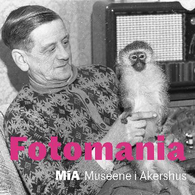 Fotomania: Foto-Gunn Fotomania: Foto-Gunn