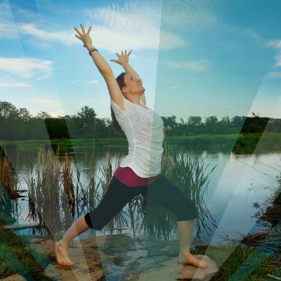 The Teaching on What We Gain by Releasing Control with Shannon Crow