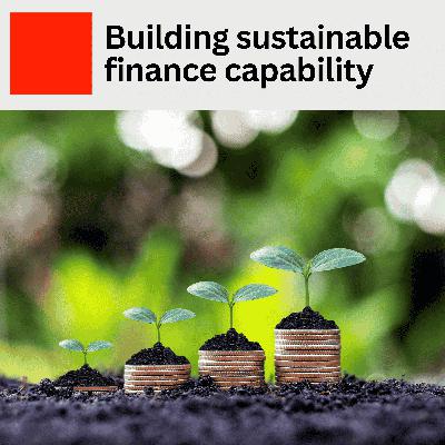 23. Building Sustainable Finance Capability