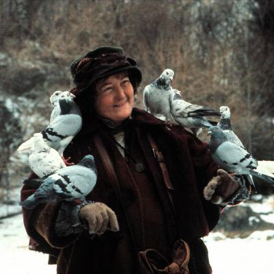 We Are Truly Pigeon Poop | Today I Learned Nothing We Are Truly Pigeon Poop | Today I Learned Nothing