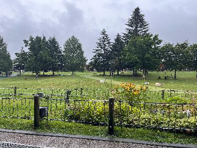 復調、9月と10月の予定を考える