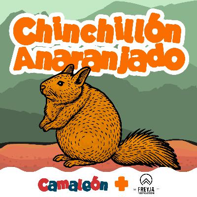 Chinchillón anaranjado: el escalador imposible de la Patagonia