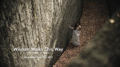 Wisdom Walks this Way part 1