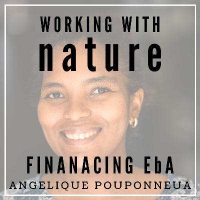 Financing EbA Financing EbA