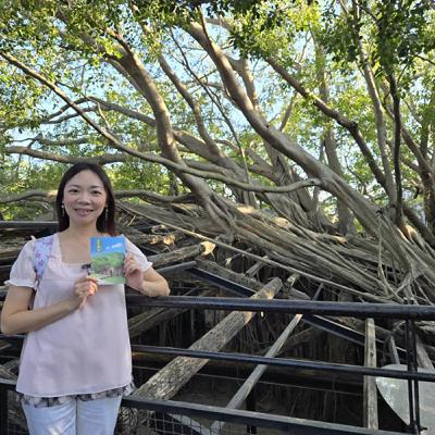 來去輕旅行│被樹包圍的~台南安平樹屋!│A Lin