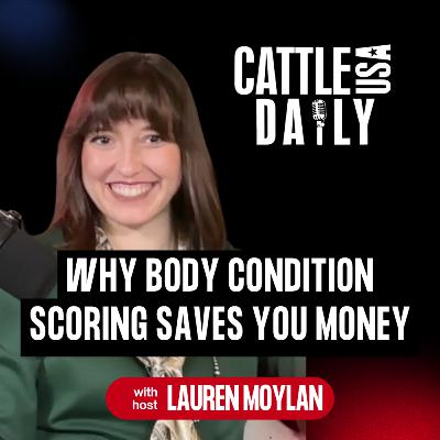 212: Why Body Condition Scoring Saves You Money 212: Why Body Condition Scoring Saves You Money
