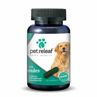 Interview with Co-Founder of Pet Releaf: Steve Smith Interview with Co-Founder of Pet Releaf: Steve Smith