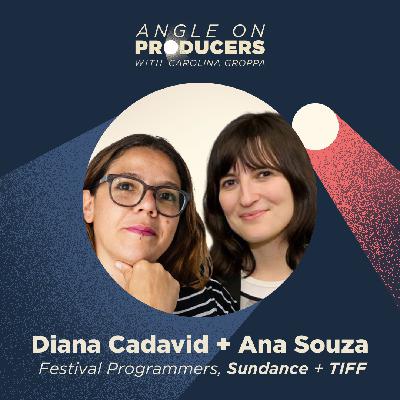 What Sundance & TIFF Programmers Are Really Looking For