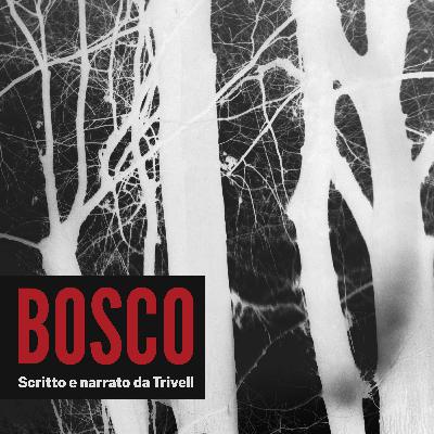 Bosco -Episodio 9- Quel che Resta