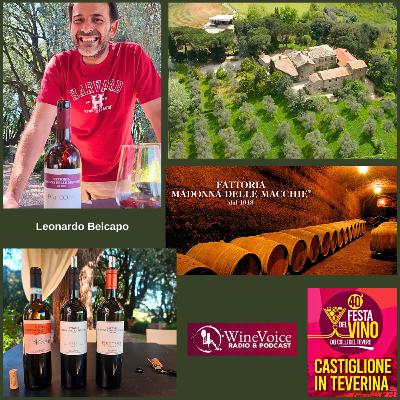 Le Terre del Vino: 40° Festa del Vino Colli del Tevere - MADONNA DELLE MACCHIE (Lazio) Le Terre del Vino: 40° Festa del Vino Colli del Tevere - MADONNA DELLE MACCHIE (Lazio)