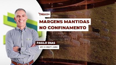 Recorde de grãos e arroba firme dão bons resultados para  confinamento em Agosto, mas poderiam ser melhores