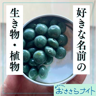 <OA>2025年11月22日放送 <OA>2025年11月22日放送