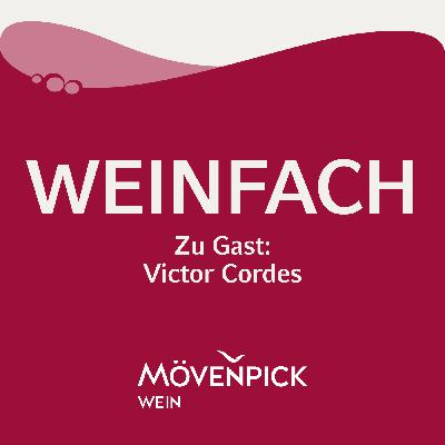 Bordeaux-Subskription: rare Weine vorab sichern Bordeaux-Subskription: rare Weine vorab sichern