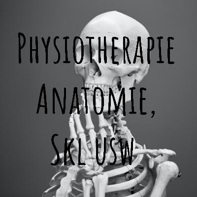 Neuroanatomie Grundlagen Teil 2