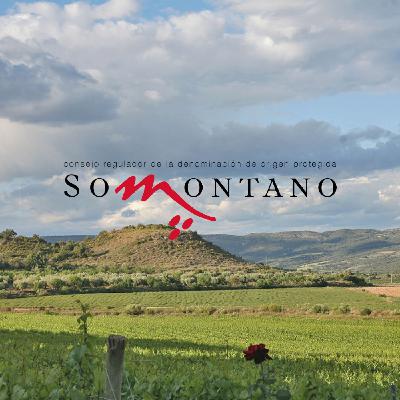 El Cuento del Viejo Sabio del Somontano El Cuento del Viejo Sabio del Somontano